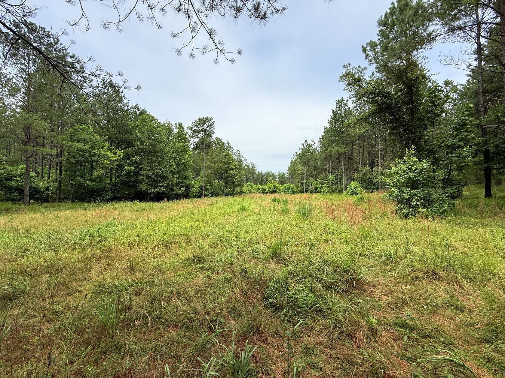 16 Acres of Land for Sale in Spencer, Tennessee