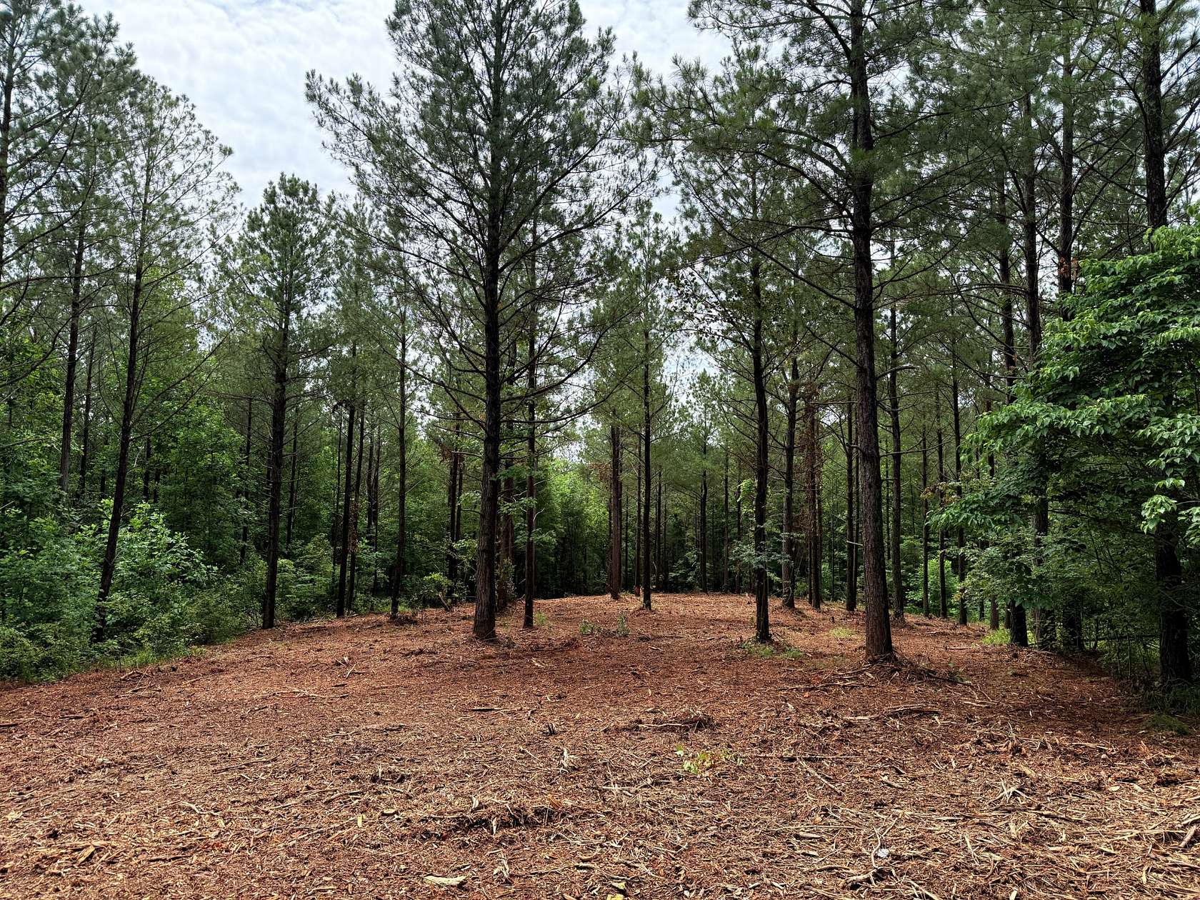 16 Acres of Land for Sale in Spencer, Tennessee