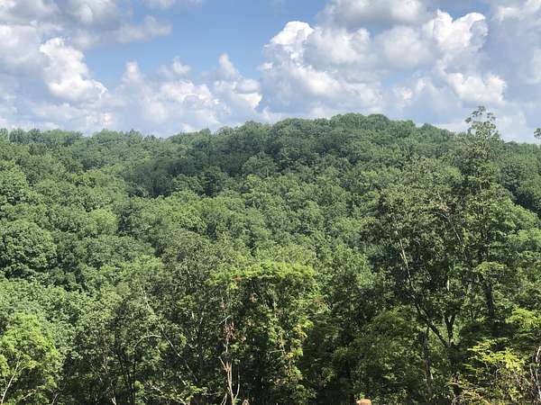 10 Acres of Residential Land for Sale in Pegram, Tennessee