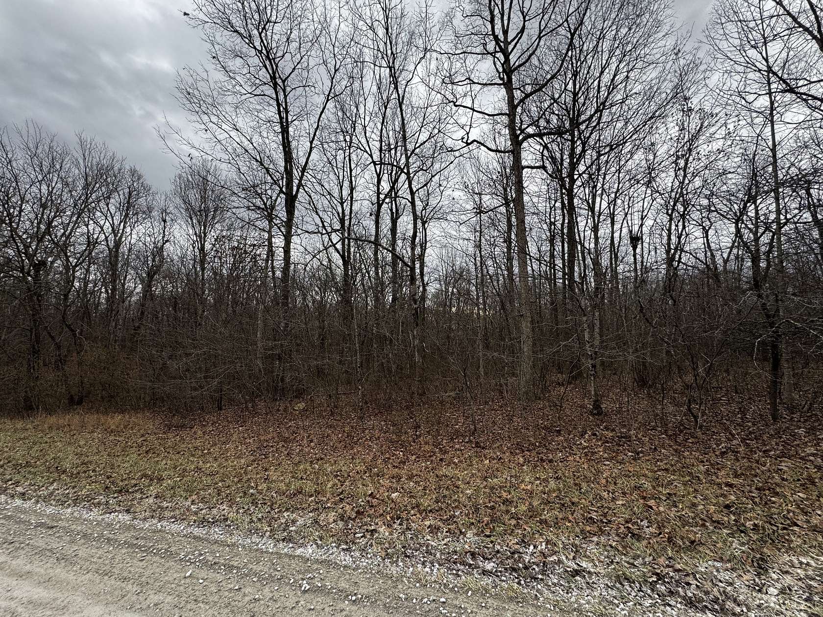 5 Acres of Residential Land for Sale in Altamont, Tennessee