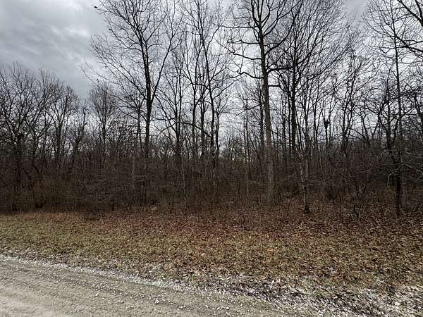 5 Acres of Residential Land for Sale in Altamont, Tennessee