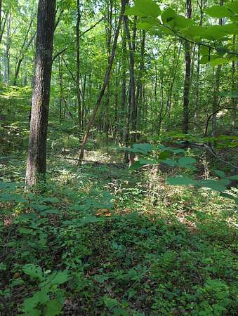 1.3 Acres of Residential Land for Sale in Nunnelly, Tennessee