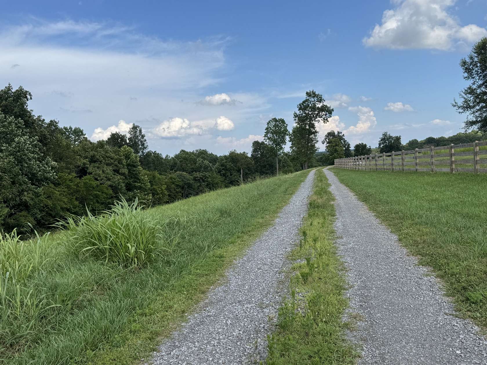 36 Acres of Land for Sale in Lafayette, Tennessee