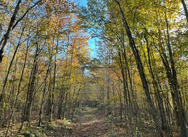 43.3 Acres of Recreational Land & Farm for Sale in Centerville, Tennessee