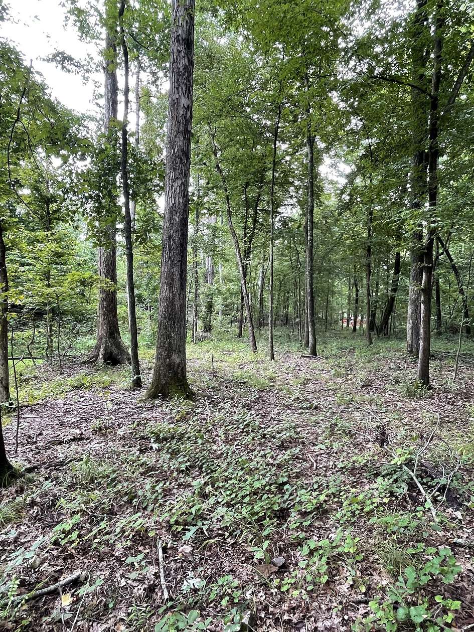 1.6 Acres of Residential Land for Sale in Dover, Tennessee
