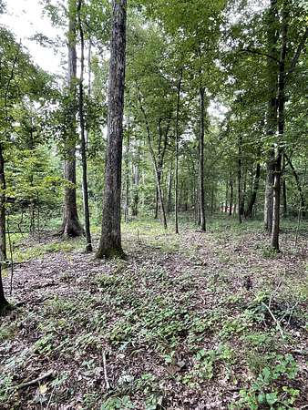 1.6 Acres of Residential Land for Sale in Dover, Tennessee