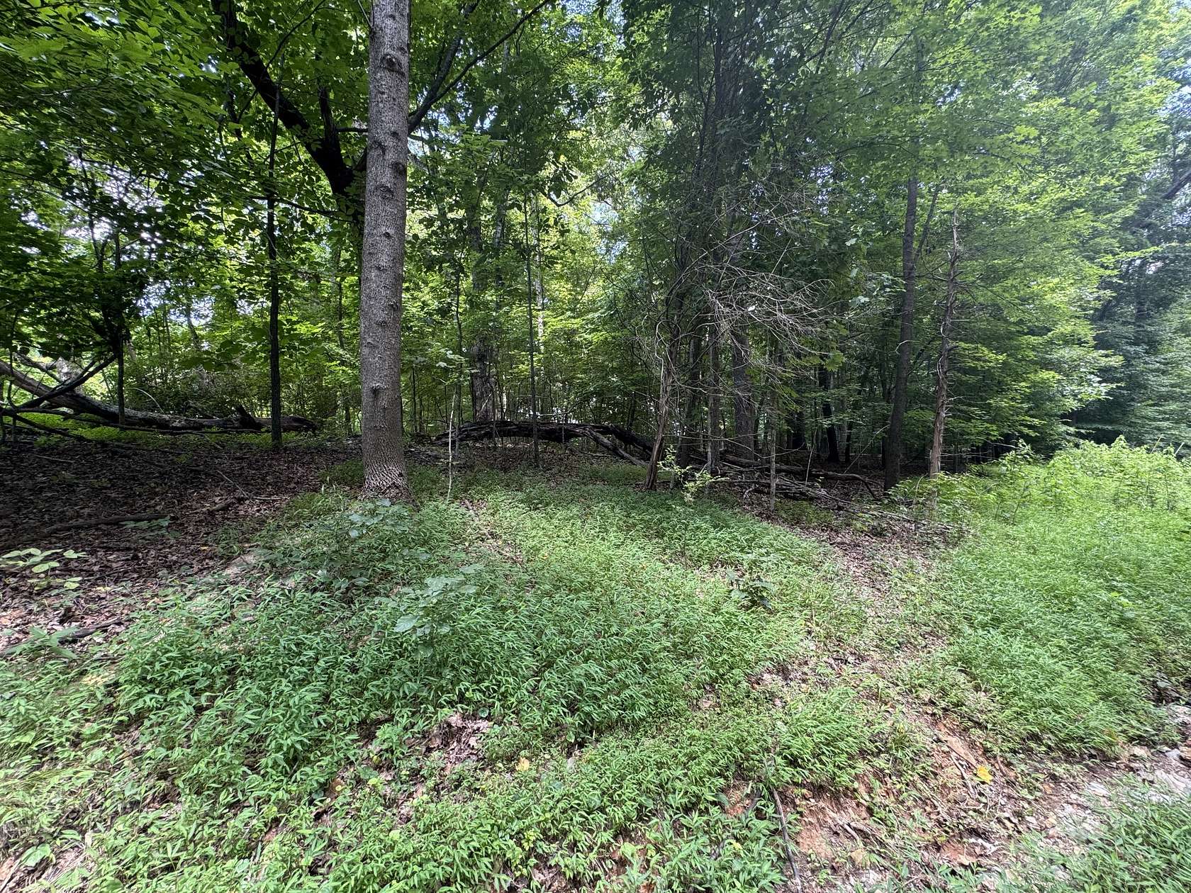 0.3 Acres of Land for Sale in Dickson, Tennessee