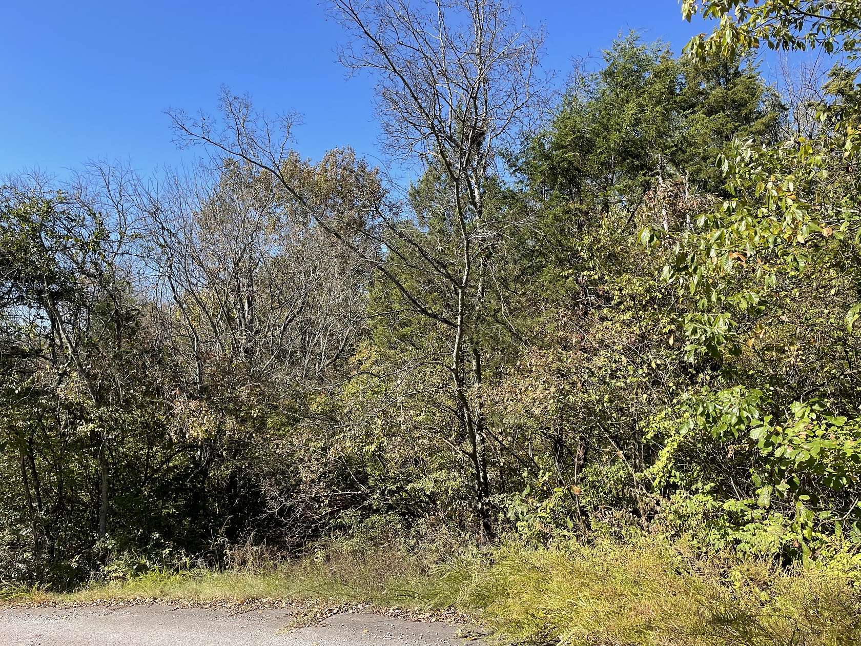 1.34 Acres of Residential Land for Sale in Madison, Tennessee