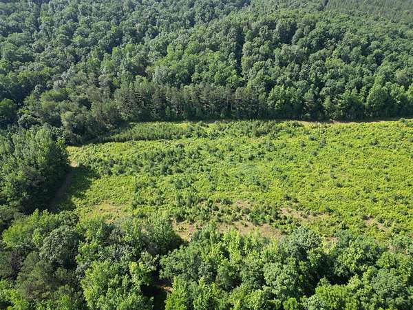 96.7 Acres of Recreational Land & Farm for Sale in Centerville, Tennessee