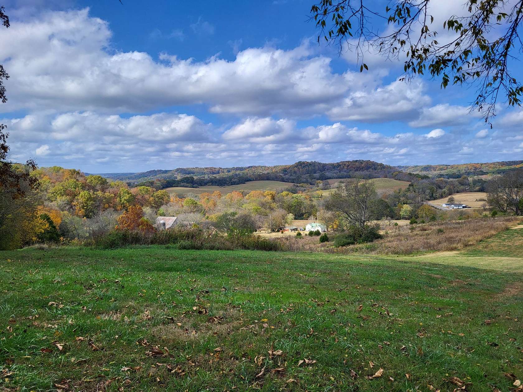 78.8 Acres of Land for Sale in Hampshire, Tennessee