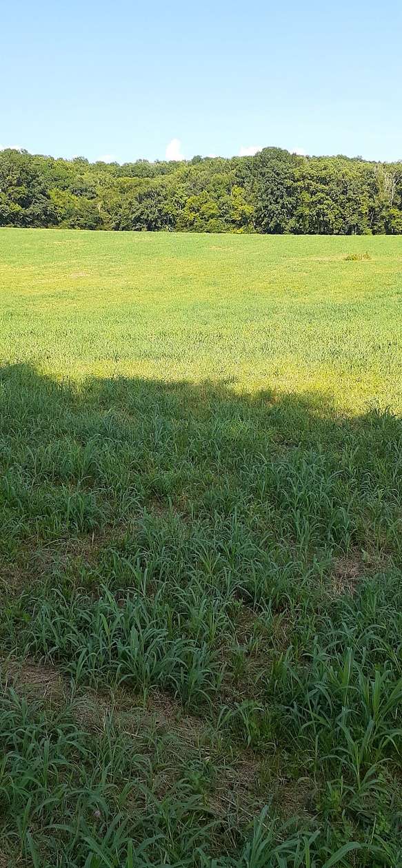 15.5 Acres of Land for Sale in Shelbyville, Tennessee