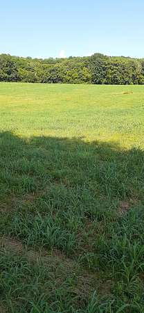 15.5 Acres of Land for Sale in Shelbyville, Tennessee