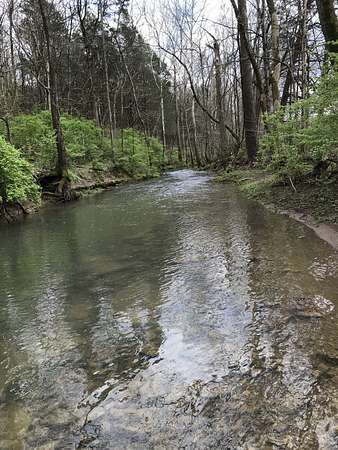 6 Acres of Residential Land for Sale in Mount Juliet, Tennessee