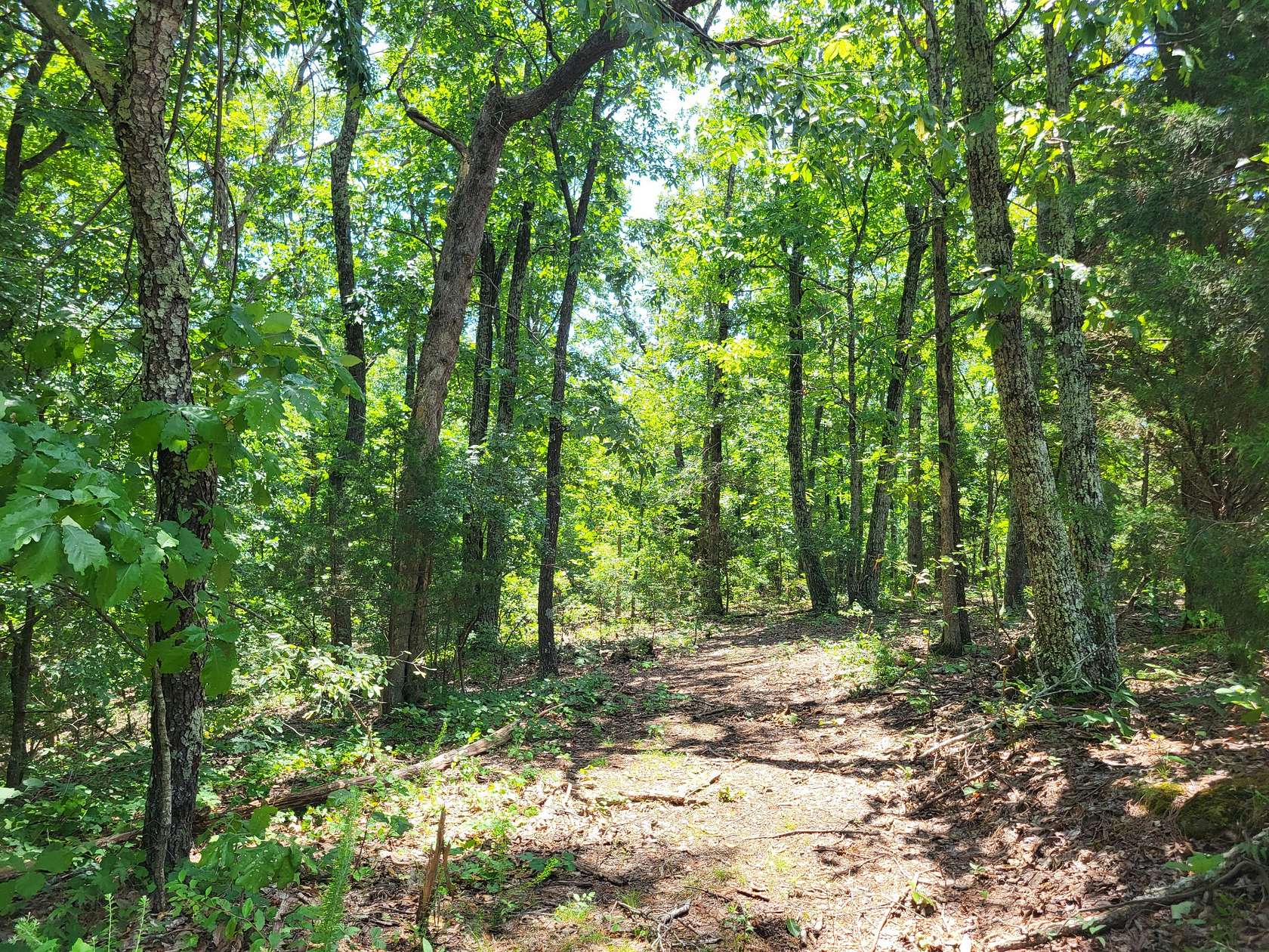 1 Acre of Land for Sale in Holladay, Tennessee