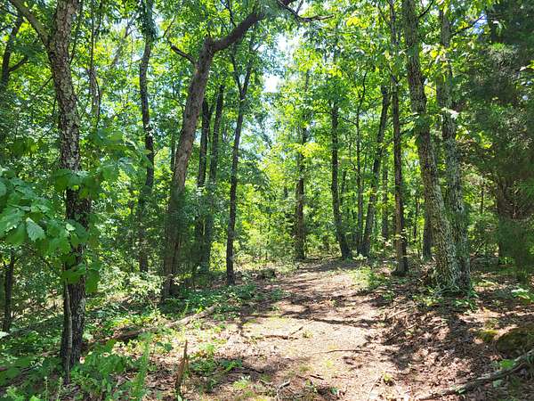 1 Acre of Land for Sale in Holladay, Tennessee