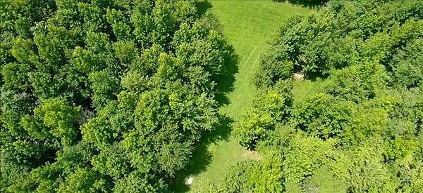 9 Acres of Land for Sale in Springfield, Tennessee