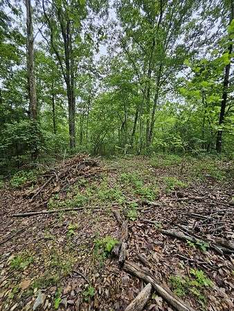 0.39 Acres of Residential Land for Sale in Holladay, Tennessee