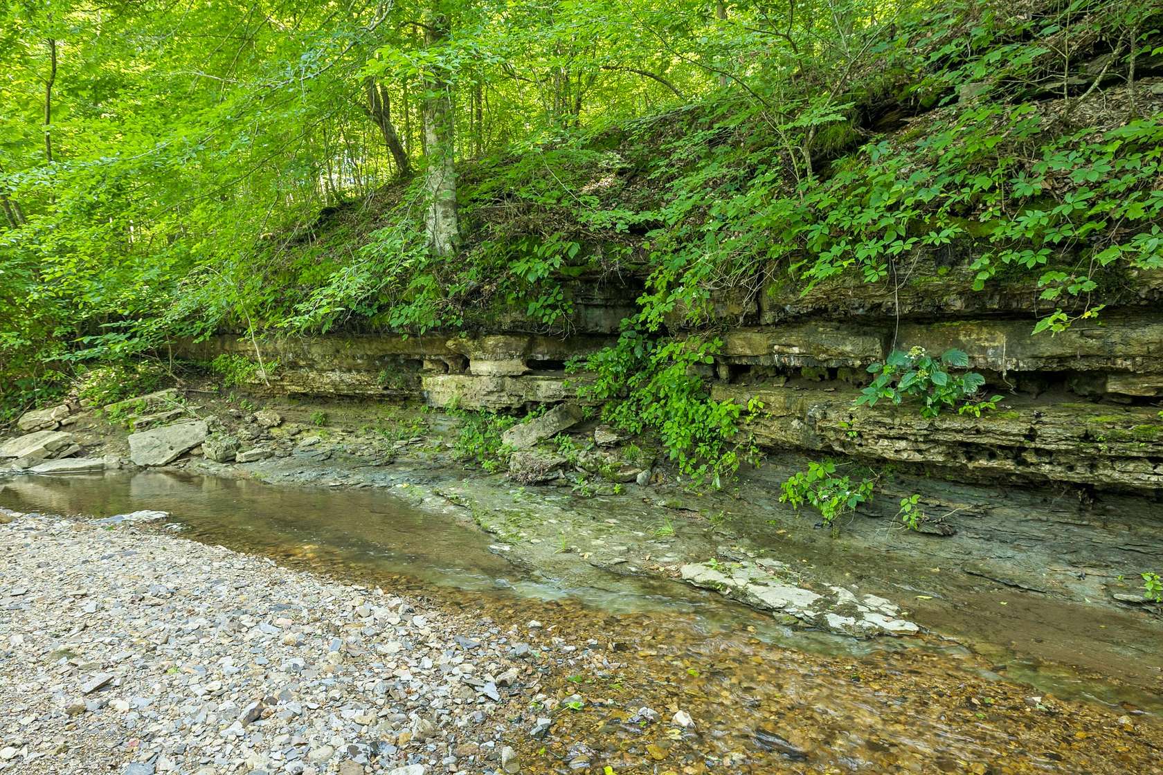 578 Acres of Land for Sale in Franklin, Tennessee