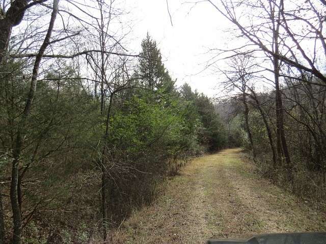 38 Acres of Recreational Land for Sale in Pulaski, Tennessee