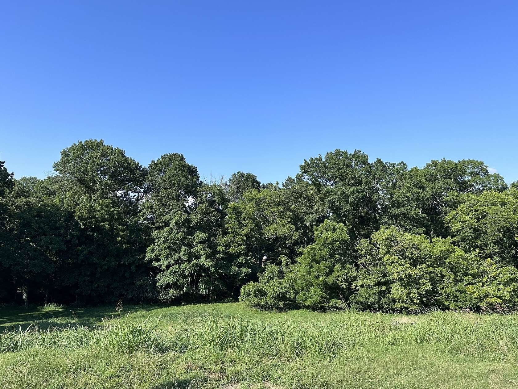 0.46 Acres of Residential Land for Sale in College Grove, Tennessee