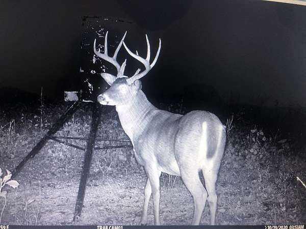 181 Acres of Land for Sale in Elkton, Kentucky