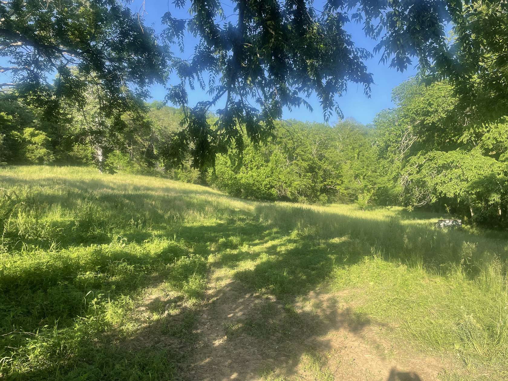 20.6 Acres of Land for Sale in Pulaski, Tennessee