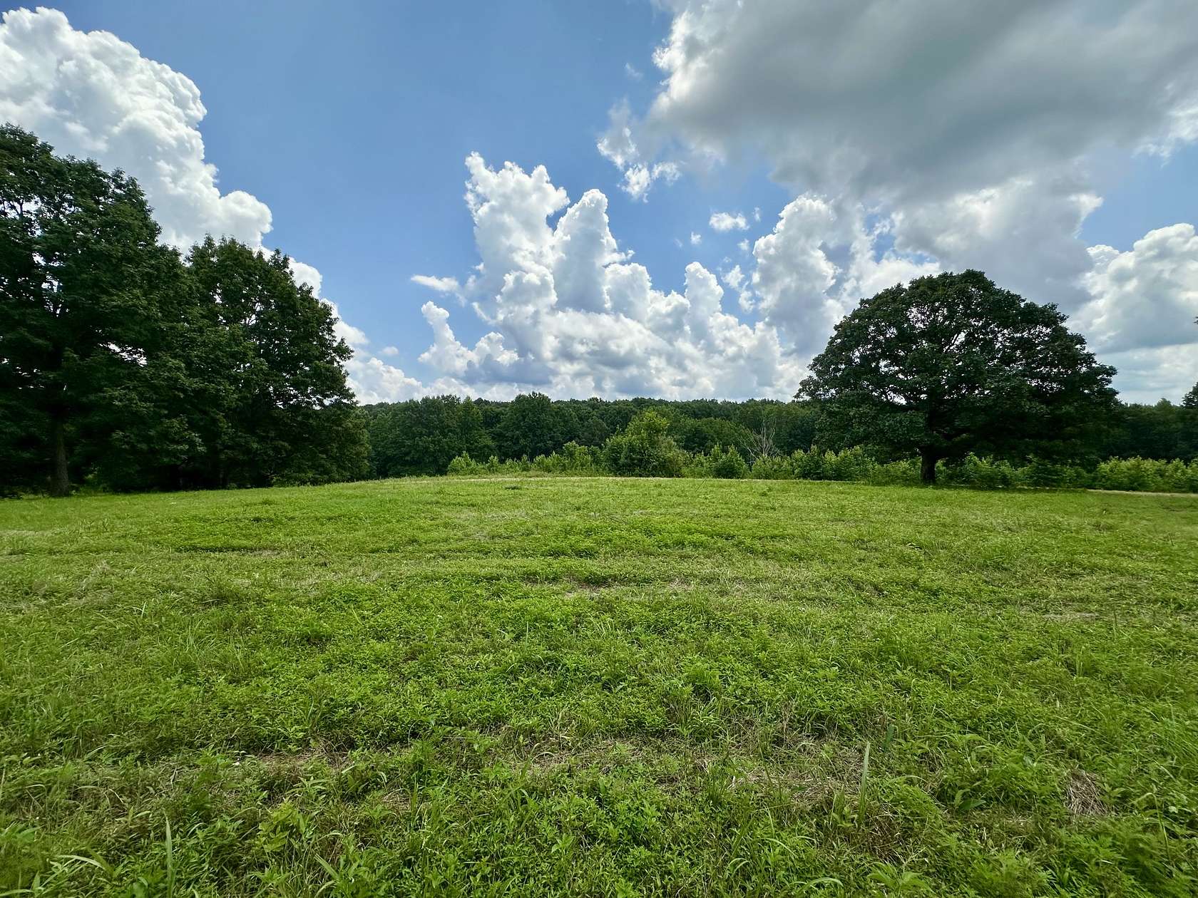 25.5 Acres of Land for Sale in Erin, Tennessee