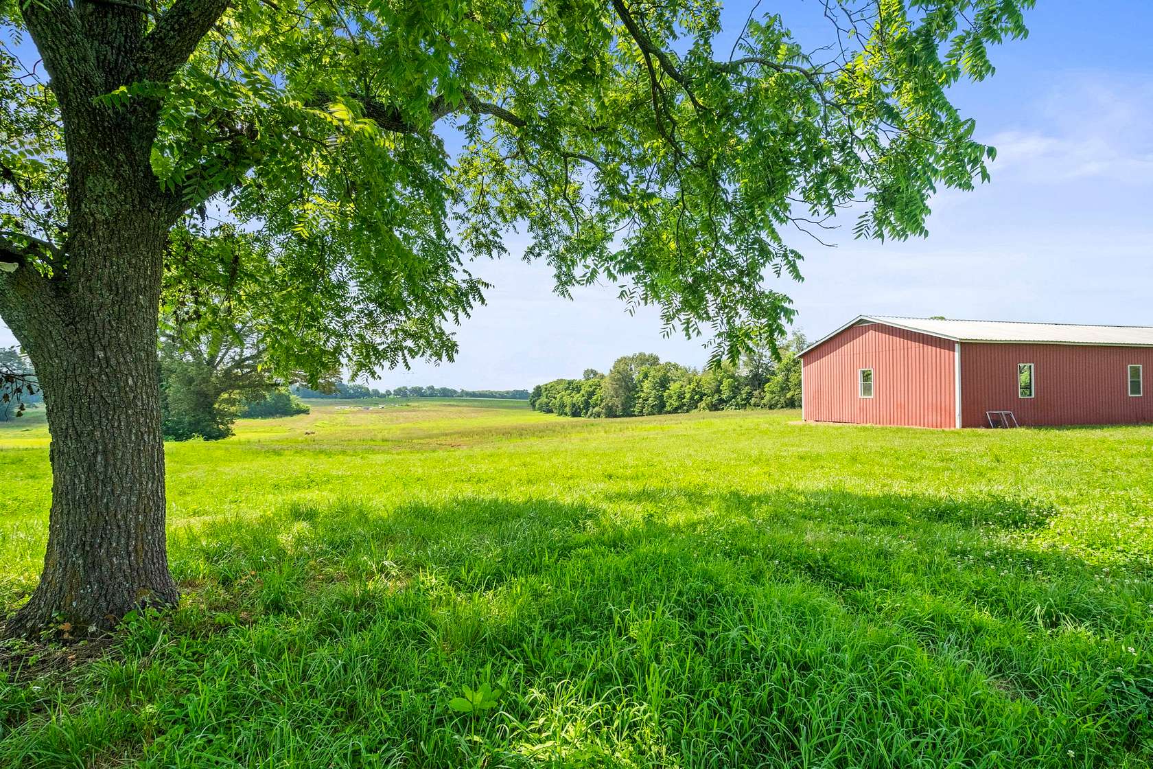 18 Acres of Agricultural Land for Sale in Springfield, Tennessee