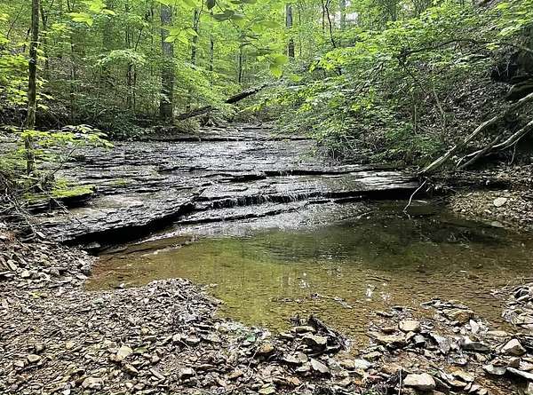 5.2 Acres of Residential Land with Home for Sale in Ashland City, Tennessee