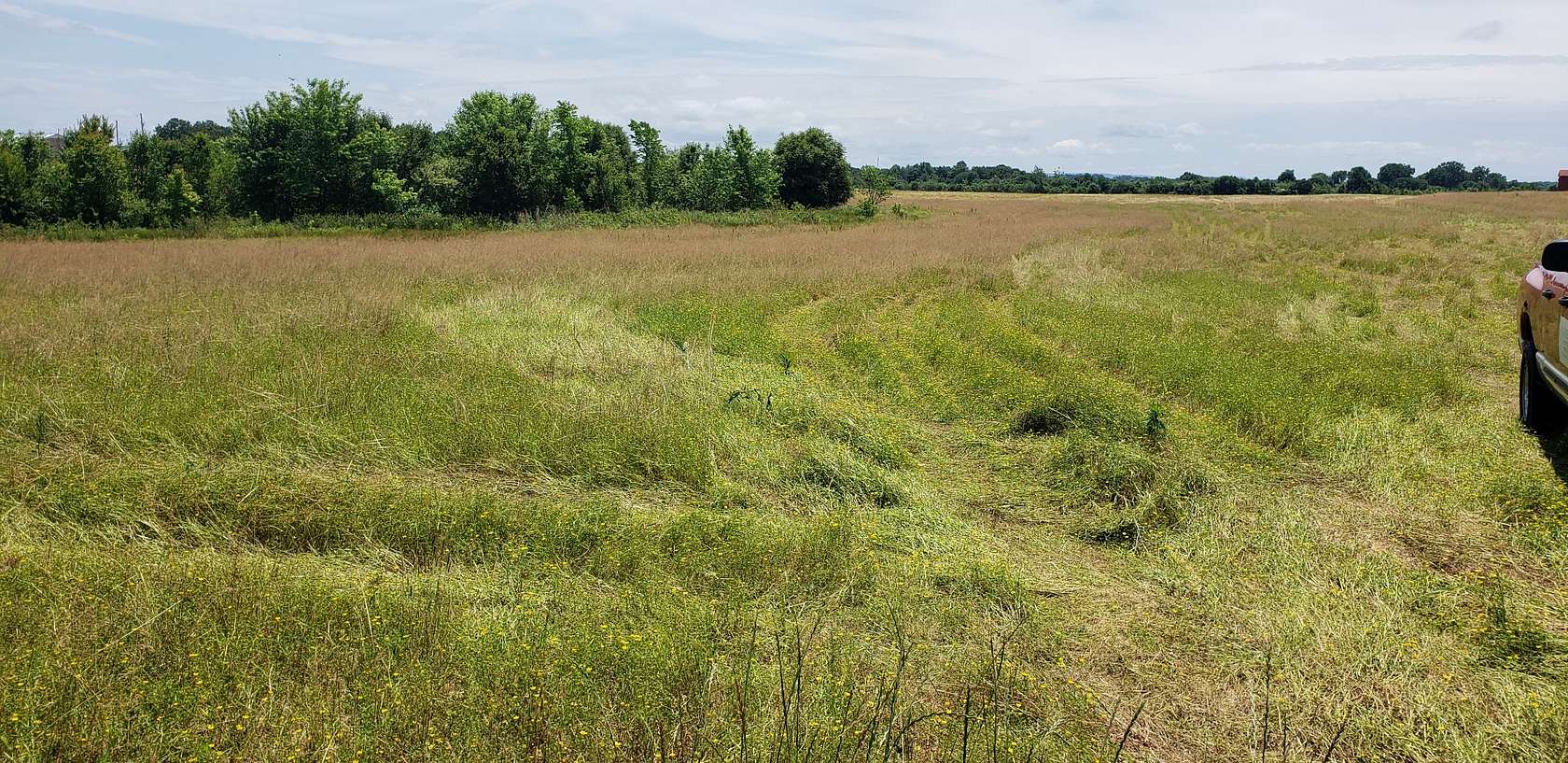 3.32 Acres of Residential Land for Sale in Smithville, Tennessee