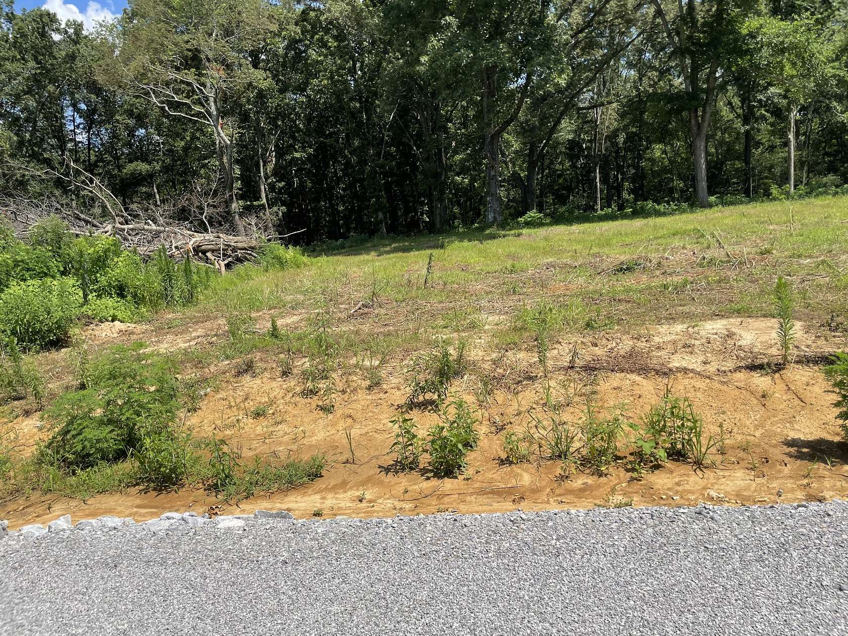 1.13 Acres of Residential Land for Sale in Summertown, Tennessee