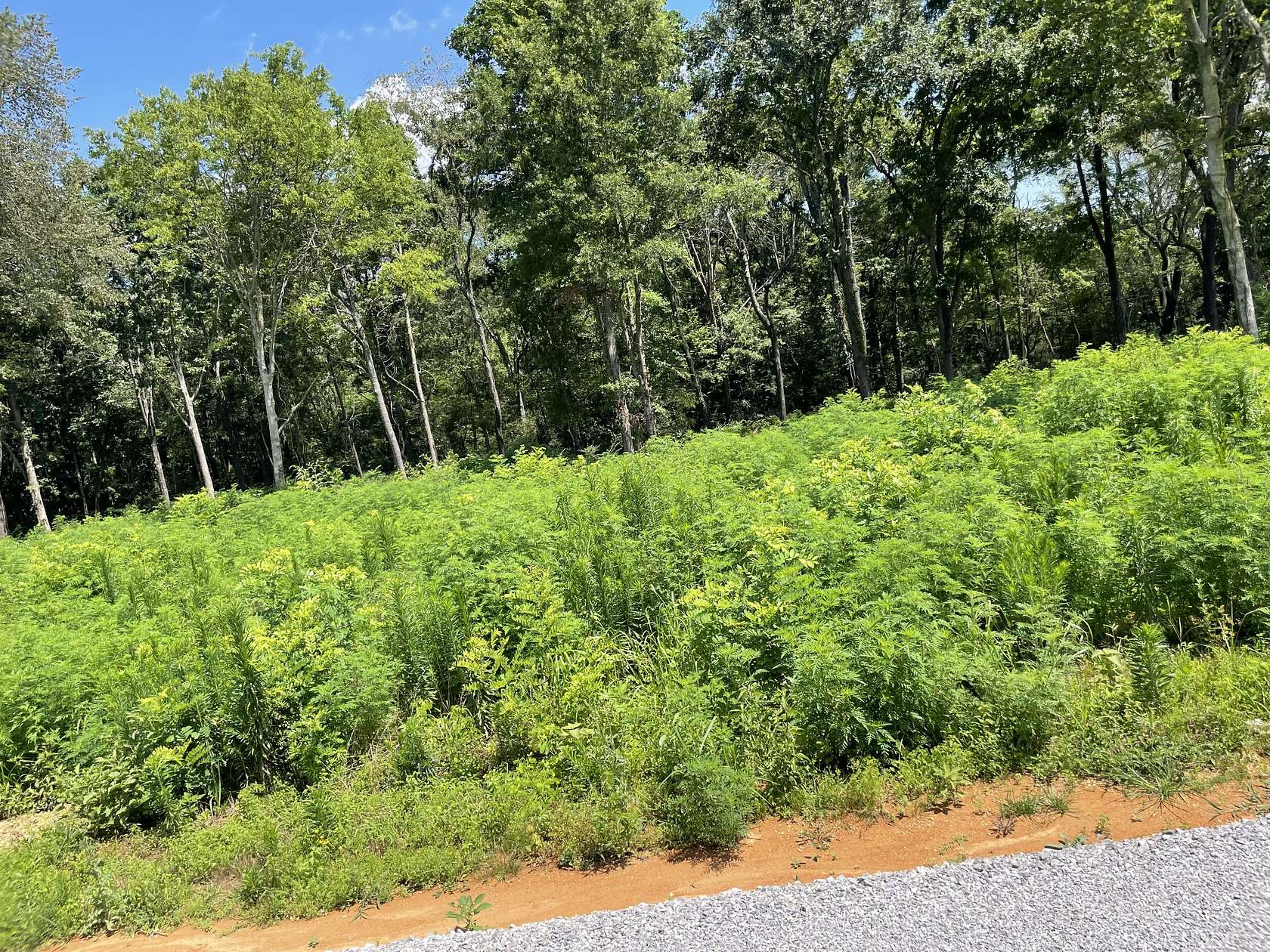 1.15 Acres of Residential Land for Sale in Summertown, Tennessee