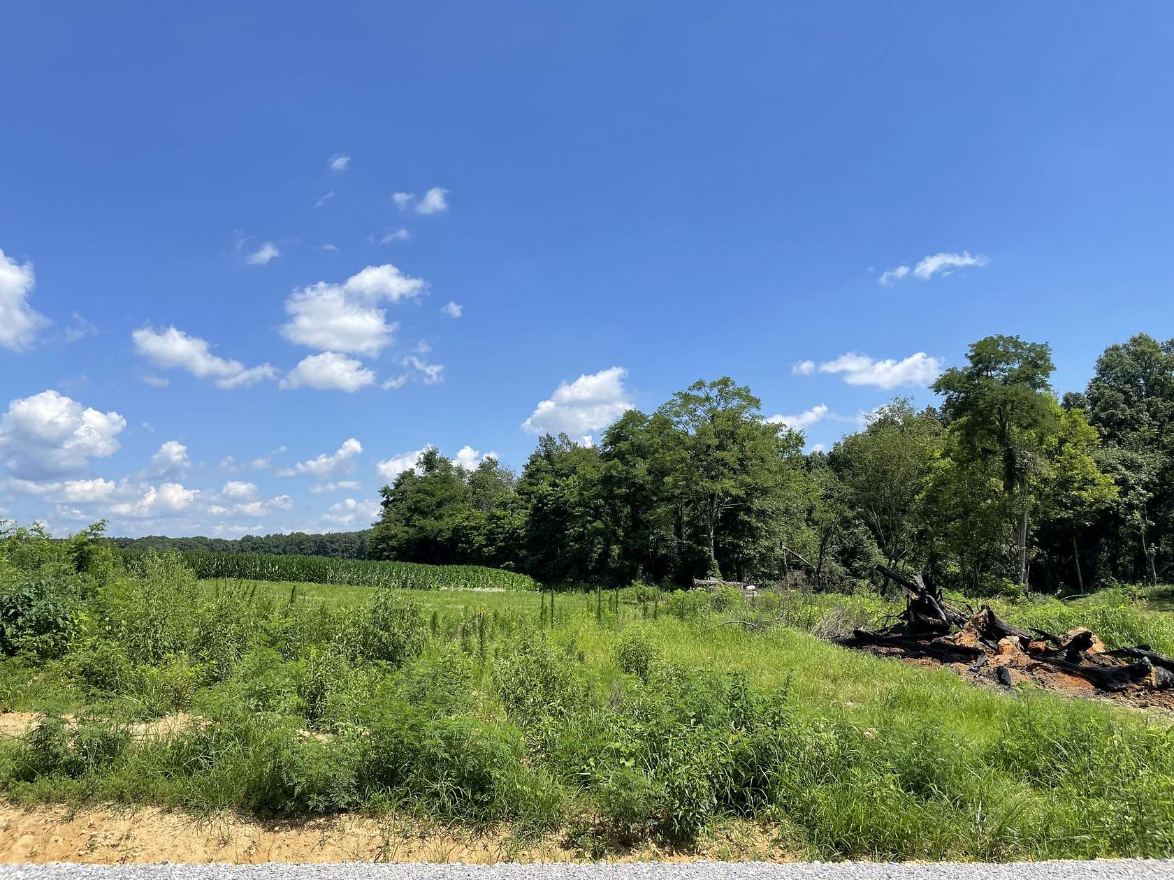 1.3 Acres of Residential Land for Sale in Summertown, Tennessee