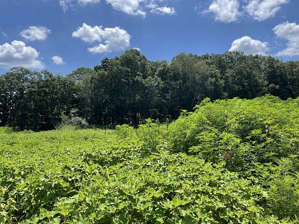 1.44 Acres of Residential Land for Sale in Summertown, Tennessee