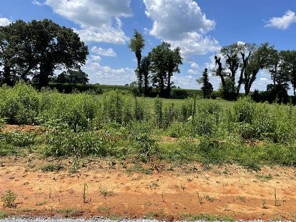 1.26 Acres of Residential Land for Sale in Summertown, Tennessee