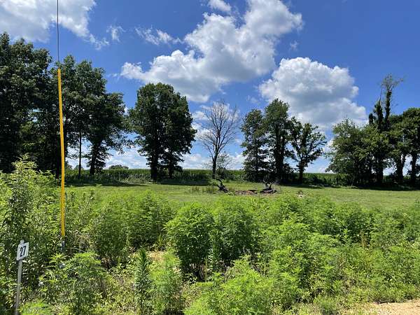 1 Acre of Residential Land for Sale in Summertown, Tennessee