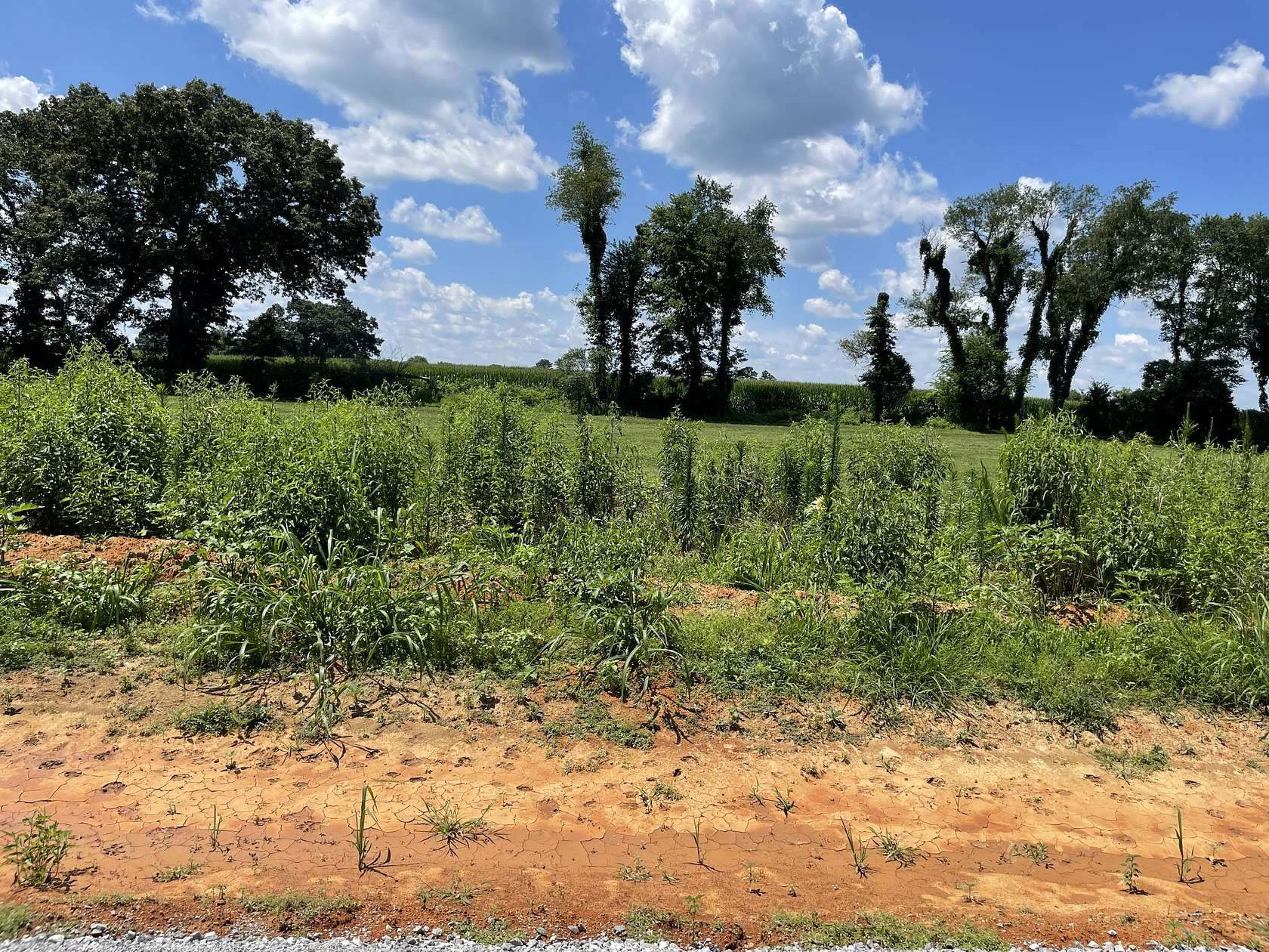 0.93 Acres of Residential Land for Sale in Summertown, Tennessee