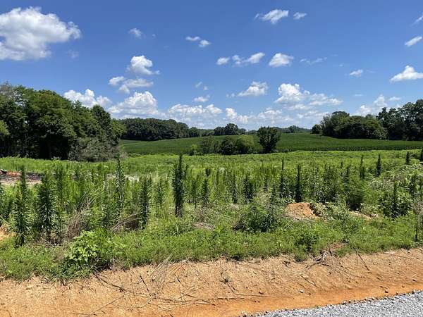 1.14 Acres of Residential Land for Sale in Summertown, Tennessee