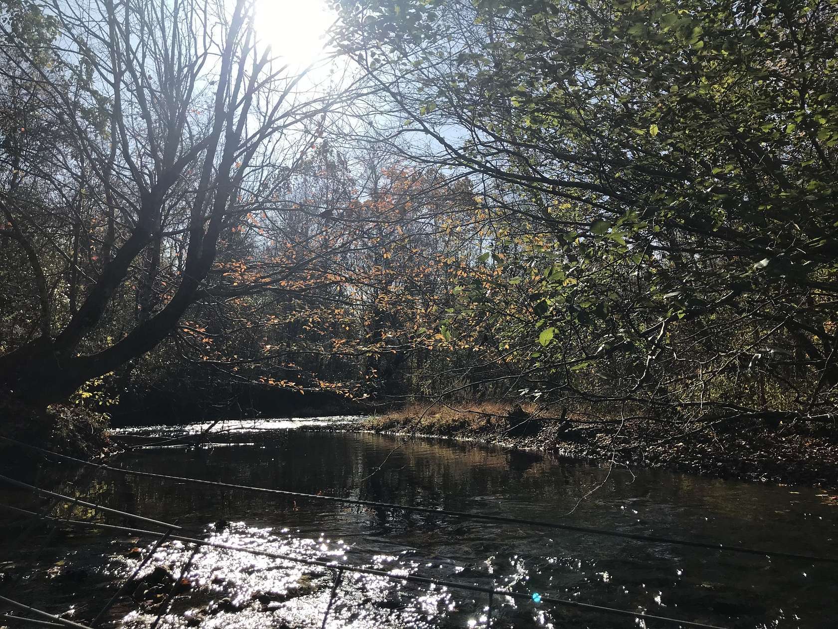 8.7 Acres of Land for Sale in Lutts, Tennessee