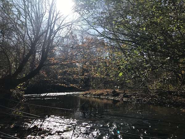 8.7 Acres of Land for Sale in Lutts, Tennessee