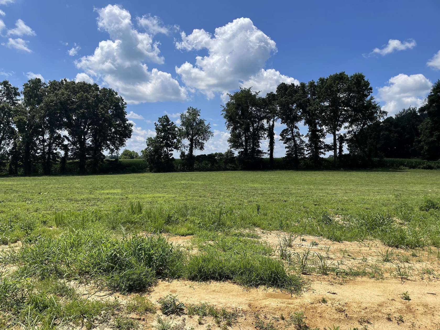 1 Acre of Residential Land for Sale in Summertown, Tennessee