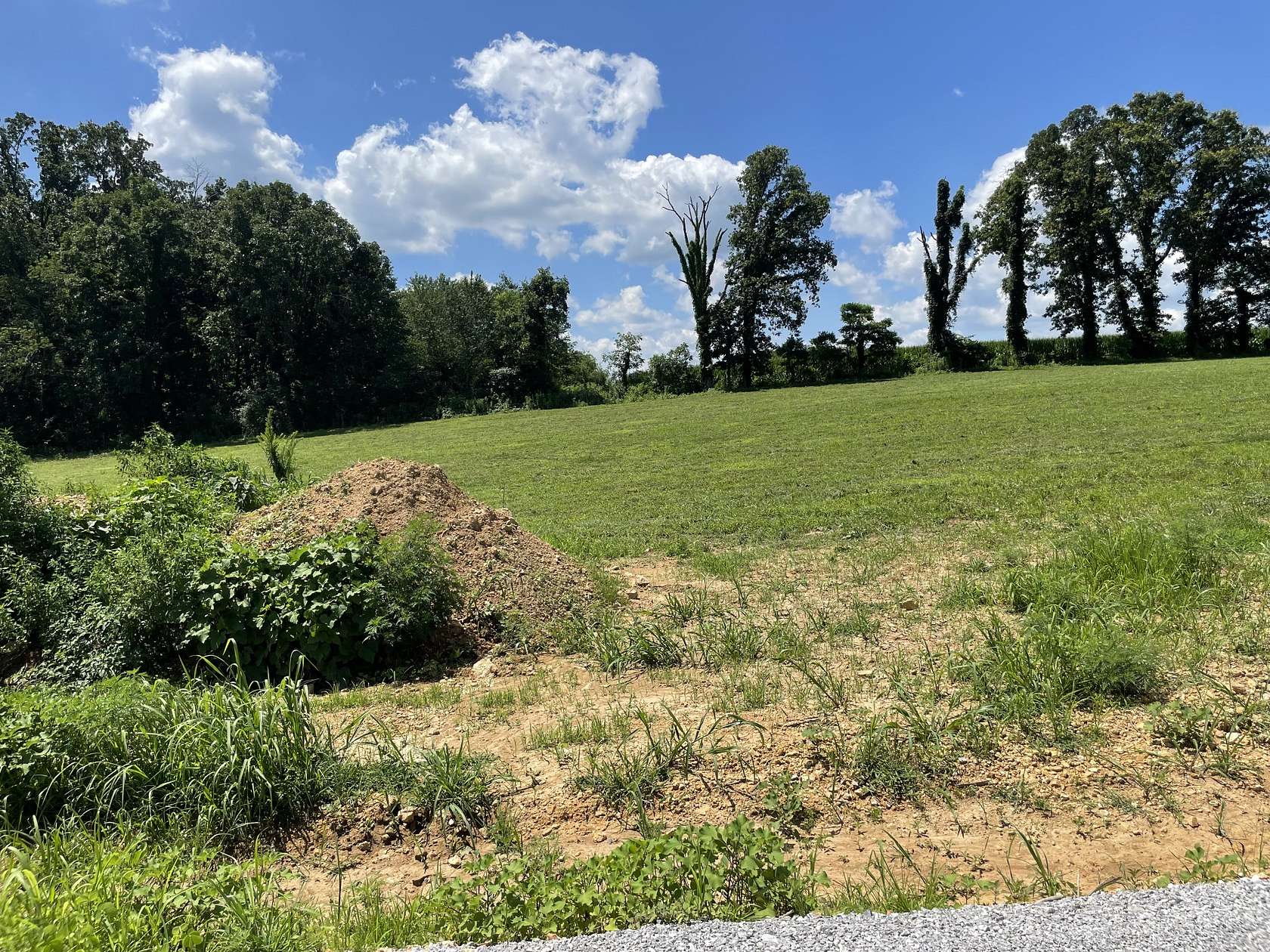 1 Acre of Residential Land for Sale in Summertown, Tennessee