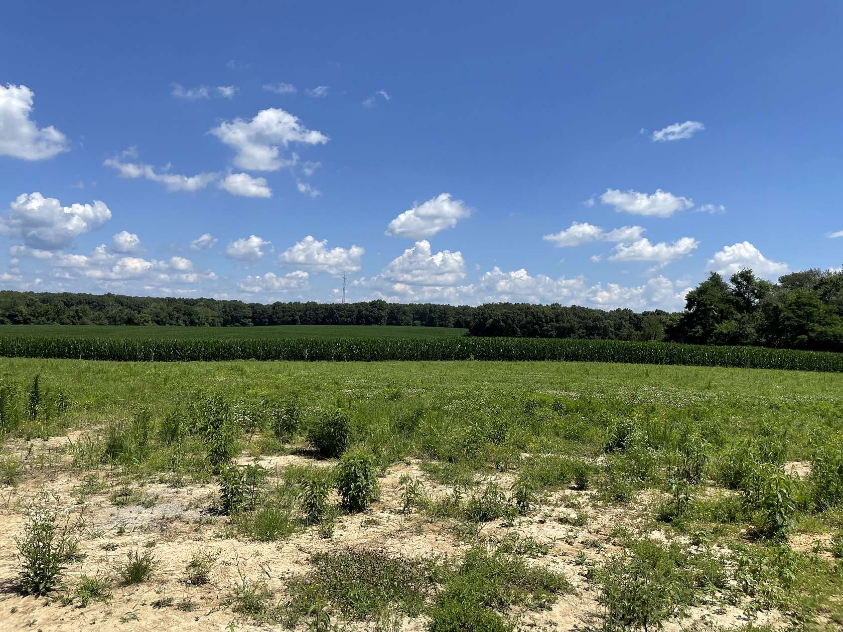 0.81 Acres of Residential Land for Sale in Summertown, Tennessee