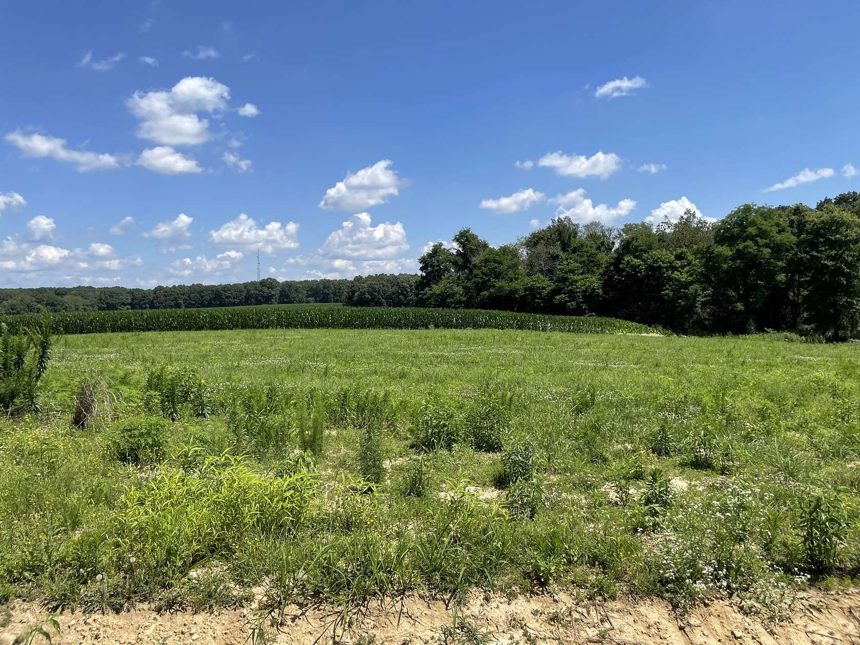 0.85 Acres of Residential Land for Sale in Summertown, Tennessee