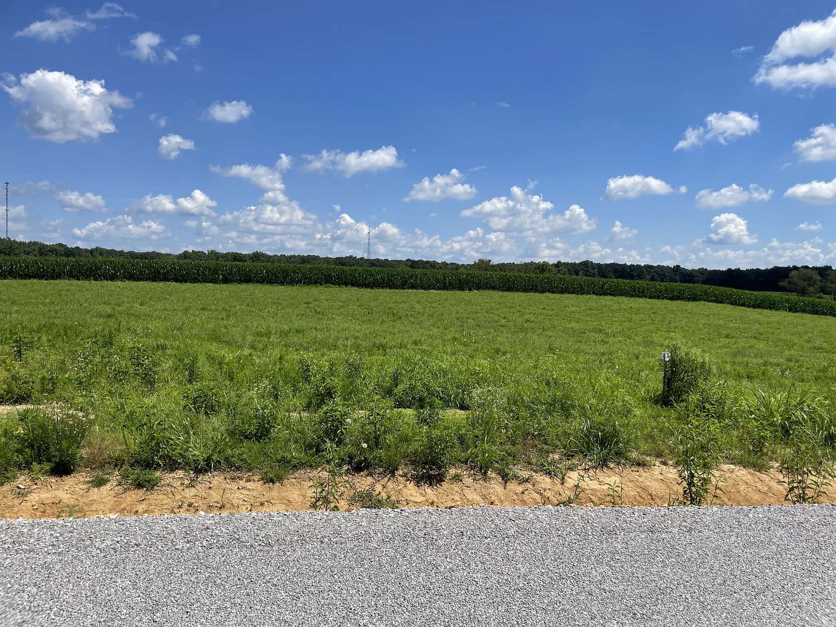1.4 Acres of Residential Land for Sale in Summertown, Tennessee