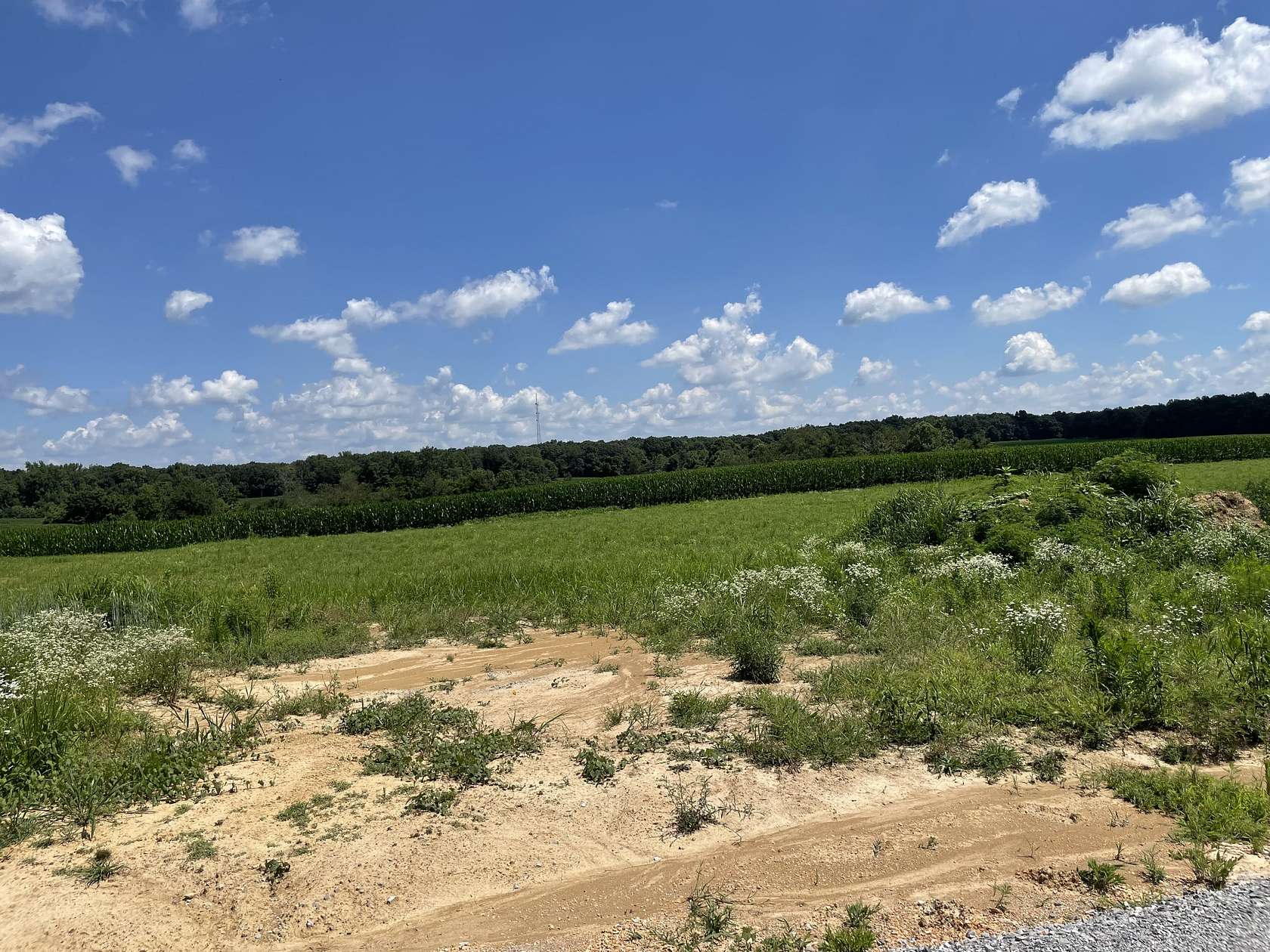 1.15 Acres of Residential Land for Sale in Summertown, Tennessee