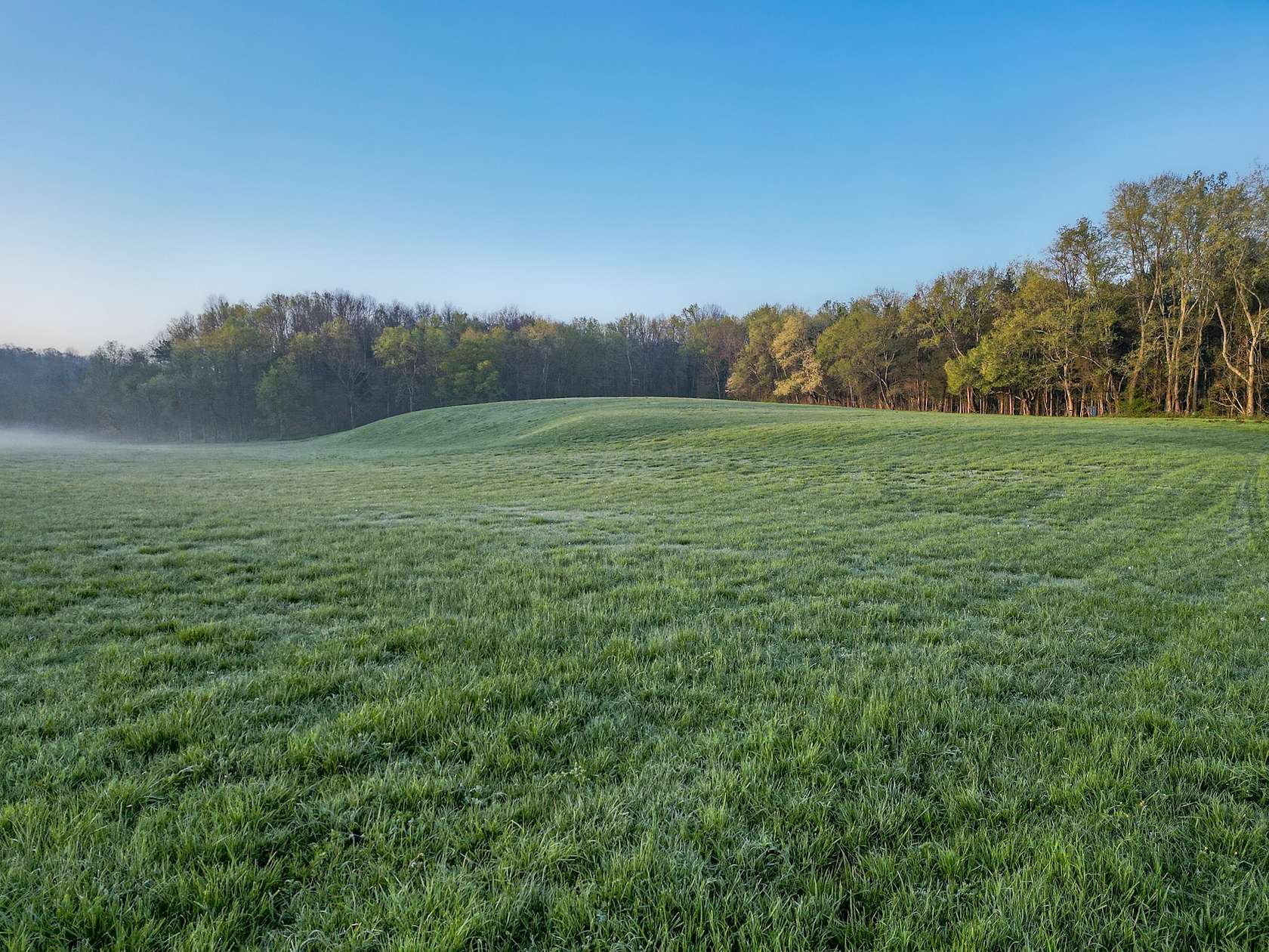 23.8 Acres of Land for Sale in Nunnelly, Tennessee