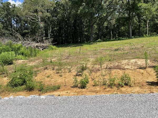 1.2 Acres of Residential Land for Sale in Summertown, Tennessee