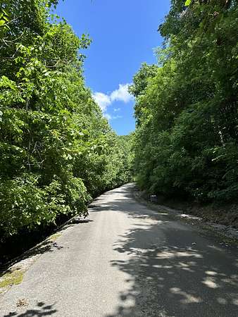 0.75 Acres of Residential Land for Sale in Smithville, Tennessee