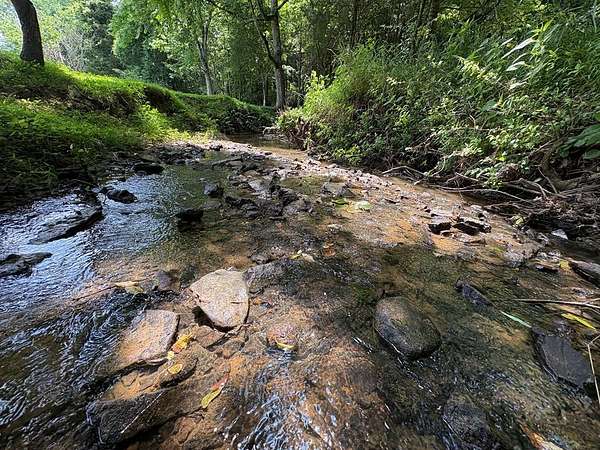 8.2 Acres of Land for Sale in Cookeville, Tennessee